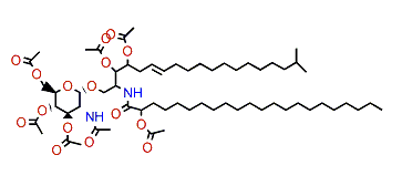 Amphicerebroside E heptaacetate